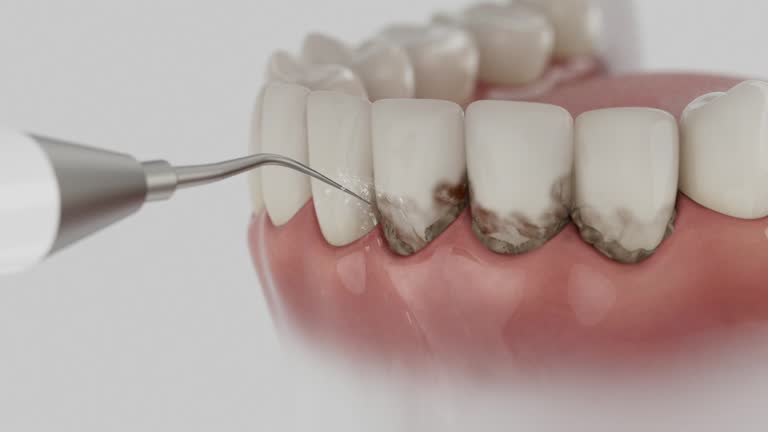 Reliable Dental contractor in Venetian Village, IL by Dentist Open Now